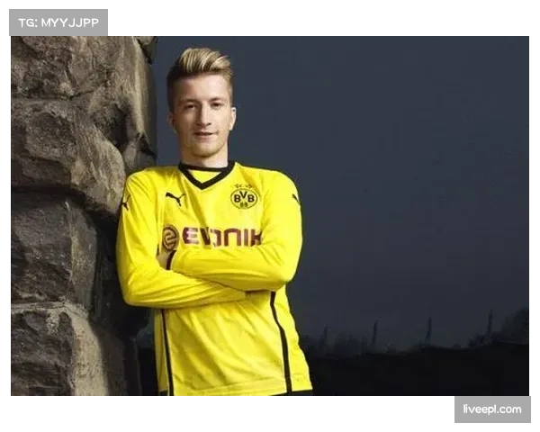 特写：老将罗伊斯在威斯特法伦的告别战，赛后独自绕场向多特球迷致意